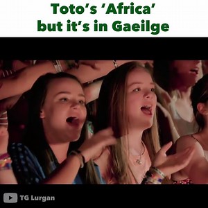 6.3M views · 62K reactions | Keeping our old language alive with this classic! | The Irish Post | Facebook