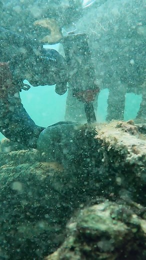 6.3K views · 59 reactions | The Nemo Impact Wrench brings serious fastening strength straight into the ocean. Built for real marine work, it handles bolts and hardware without losing momentum underwater.  #nemopowertools #impactwrench #marineindustry #underwater | Nemo Power Tools | Facebook