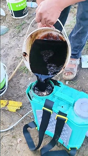 Farm Fertilizer Prep: Pouring Thick Liquid Fertilizer into a Backpack Sprayer
