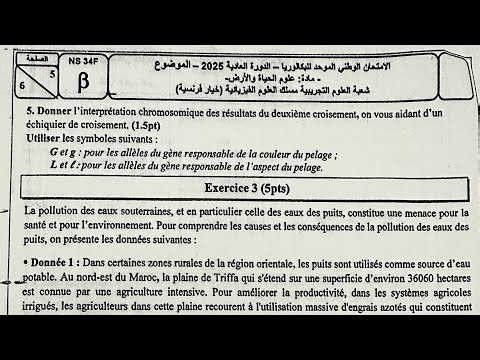 Correction d’examen 2025 la pollution