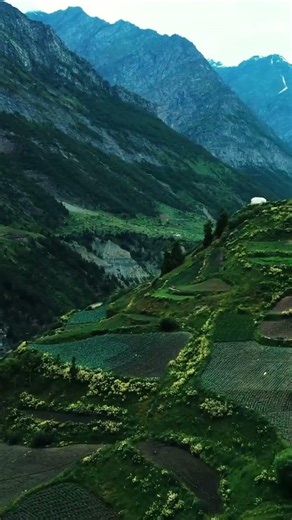 🔥Travel: Just take small step in nature | majboor | green fields