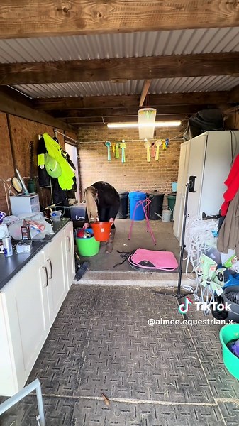 Transforming Your Tack Room into a Tidy Space