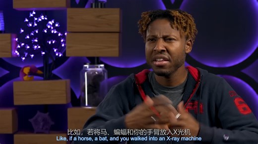 【十分钟速成课：生物学】第17集，系统发生学（中英字幕）Crash Course Biology #17