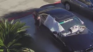 Woman brutally yanks, drags puppy in broad daylight in LA's South Gate neighborhood