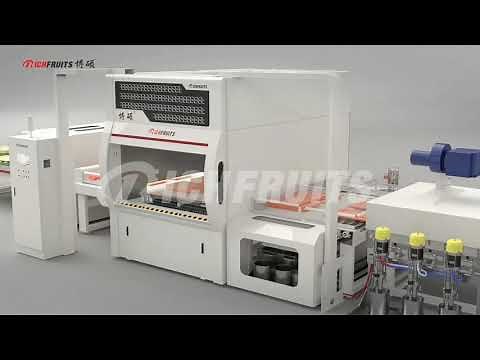 Reciprocating sprayer auto spray paint machine solution for wooden furniture cabinet doors flooring