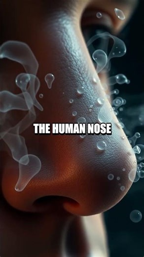 Behind the Commonplace Astonishing Truths That Change How You See It