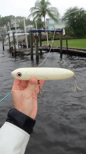 Exciting Topwater Fishing Adventure | Giant Plug Encounters Wild Action!