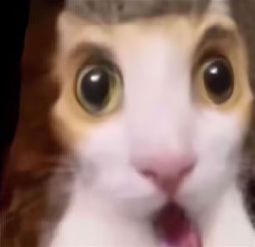 PLA/PAP入门小指南（非造型搭配）