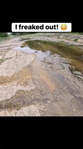 This freaked me out 😳 | Exploring with the Nug