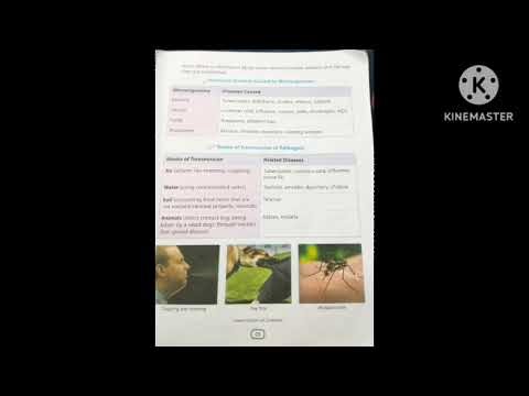 What is a Microorganism: Friend or Foe?