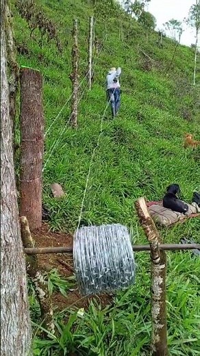 Making a barbed wire fence | The easy way