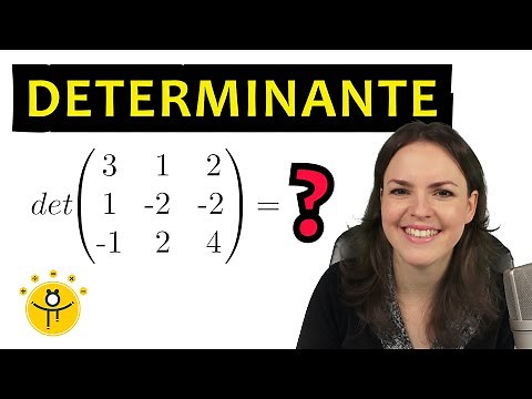 DETERMINANTE 3x3 Matrix berechnen – Regel von Sarrus, Matrizen, Beispiele