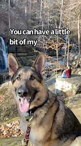 346K views · 9.7K reactions | The propeller hat returns! | Best Boy Benson | Facebook