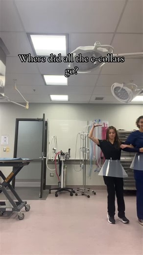 Lakeland College Vet Tech on Instagram: "Pirouettes before pre-op: when vet tech students turn spare time into showtime."