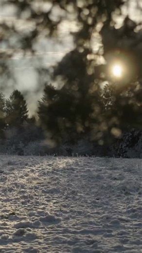 Alison Sullivan | Therapist, Speaker, Consultant on Instagram: "Journaling has so many mental health benefits. Using a journal to self reflect can help you to make sense of experiences and patterns in your life that can feel confusing and unclear. It creates a space of safety where you can explore without the pressure to get it right be right or have it all figured out. You get to just discover yourself and deepen your connection to yourself. Try out this self reflection prompt with curiosity, n