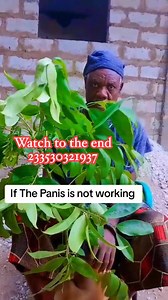 1.5K views · 16 reactions | #Part two 2️⃣ #gonorrhea, Syphilis Masturbation, Hernia | Agya Suro Nnipa | Facebook