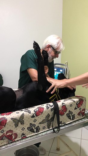 José Rubens Nogueira de Souza no TikTok