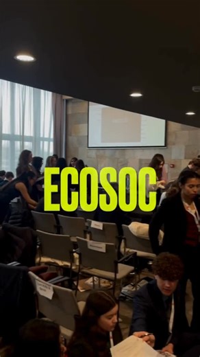 THIMUN 2026 - The Hague International Model United Nations on Instagram: "Lobbying captured at ECOSOC"
