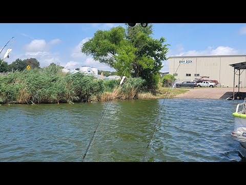 How to troll for White Bass!