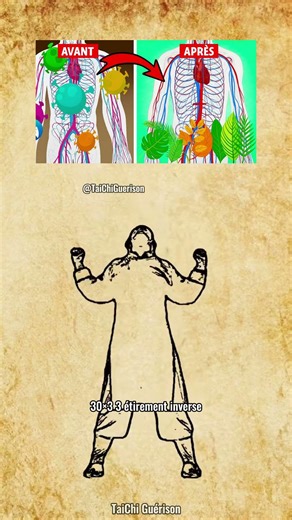 💆‍♀️ Les 5 meilleurs exercices pour renforcer et protéger vos cervicales !