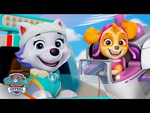 Skye & Everest Use Their Rescue Vehicles on a PAW Patrol Mission! 🐐 | Shimmer and Shine