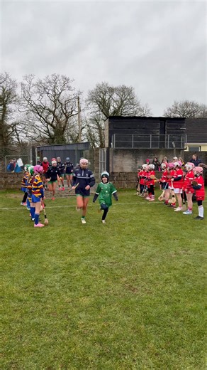 Our girls are welcomed to the field by the U10s of St.Ailbes & Doon Camogie Club 🙌🏻 Orlaith Kelleher and our mascot for the day Isla Twomey of Pallasgreen GAA lead the girls out! 💚 | Limerick Camogie