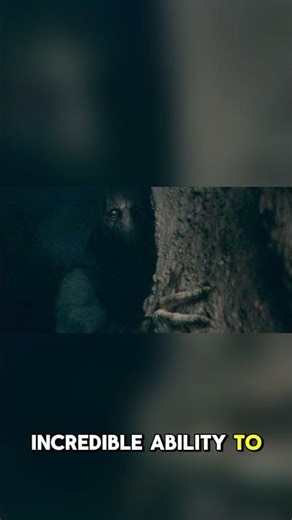 5 Sith Lords Stronger Than Vader