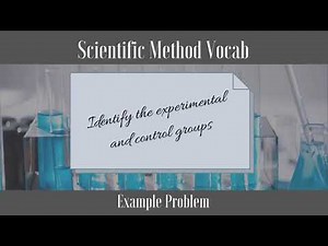 Scientific Method Vocab: Experimental and Control Groups