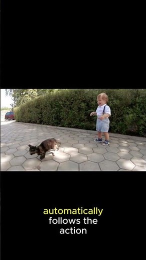 Kasa Smart Home Security Camera Review: 1080p, Pan-Tilt & Night Vision