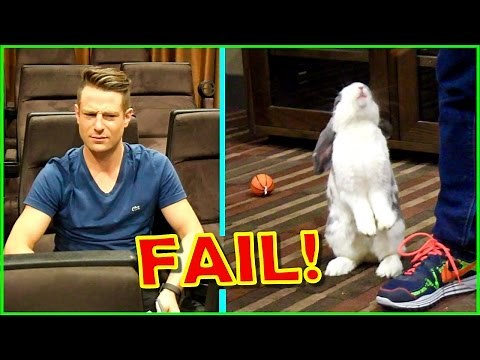 Rabbit's Dance Audition Gone WRONG