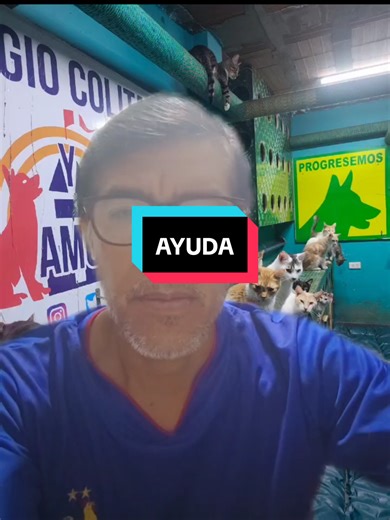 YAPE : 912 14-11=95 #paratiiiiiiiiiiiiiiiiiiiiiiiiiiiiiii #noalabandonoanimal🐶🐱 #refugioanimal #diosesamor❤️ #teamoperu♡🇵🇪