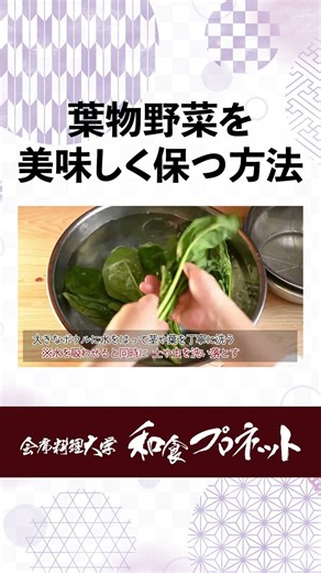 [Pro Tips] How to Keep Spinach Fresh Longer! Secrets to Storing Leafy Greens