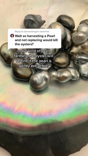 Sustainable Pearl Farming Techniques Explained
