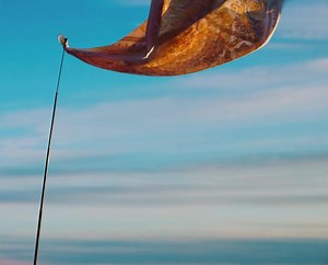 Silk slipstream - the #VersaceHoliday campaign sets off tomorrow. | Versace