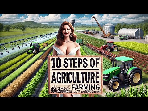 10 Essential Steps of Farming | How Your Food Goes from Seed to Table Plate!