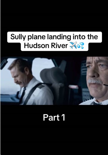 Sully plane landing into New York || #newyorkcity #sully #airline #USA #airbus320