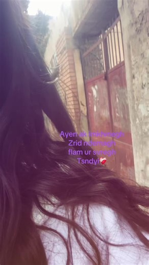 Keşfet: Real Algerienne Culture and Cuisine