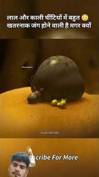 red ant vs black ant #facts#viralshort