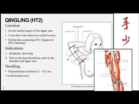 The heart meridian of the hand shaoyin