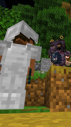 Minecraft BEST Public Lifesteal Server ❤️ #minecraft #minecraftserver #hyrise