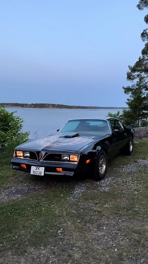 Exploring the 70's Vibe of American Muscle Cars