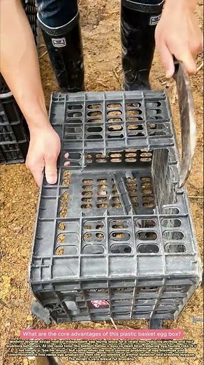 DIY Chicken Nesting Boxes From Recycled Plastic Crates