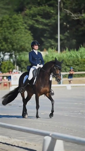 Championnat de France 2026 : Le Podium As Poney Élite Dressage ! 🏆🥇🥈🥉