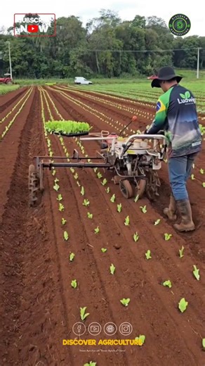 Introducing the amazing vegetable planting machine, a revolutionary tool that is transforming the way we cultivate our gardens and farms. This innovative equipment efficiently automates the planting process, allowing for precise seed placement at optimal depths and spacing. By significantly reducing labor time and increasing planting speed, it empowers farmers to increase productivity while minimizing waste. Designed with user-friendly features, it accommodates various seed types and soil condit