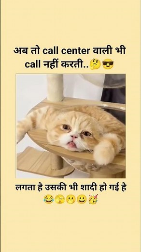 अब तो Call Center वाली भी शादीशुदा हो गई 😅📞 | Funny Meme Video | Hindi Comedy Shorts