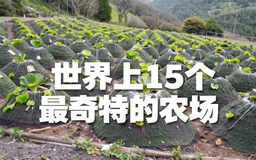 [中配]世界上15个最奇特的农场 - Top Fives