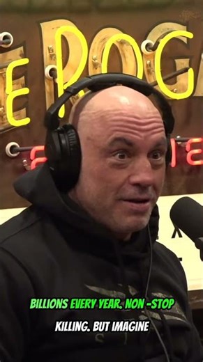 Billions of Cats: The Silent Predator Crisis #shorts #animals #science