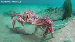 You must c C reate an account to continue watching