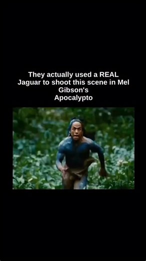 TEXT | MESSAGES | MAIL on Instagram: "In Apocalypto (2006), Mel Gibson pushed realism to the edge by using a real jaguar for the terrifying jungle chase scene. The animal was handled by professional trainers and filmed in controlled shots, while actors were kept at safe distances. For the most dangerous moments and close-ups, filmmakers blended in careful editing and limited visual effects to make it feel seamless without putting anyone at risk. The result is one of the most intense predator sce