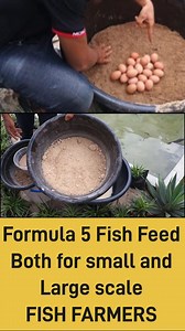 99K views · 2.2K reactions | Produce your Fish Feed without any Machinery. #fish #highlight #followers | First Fish Academy | Facebook